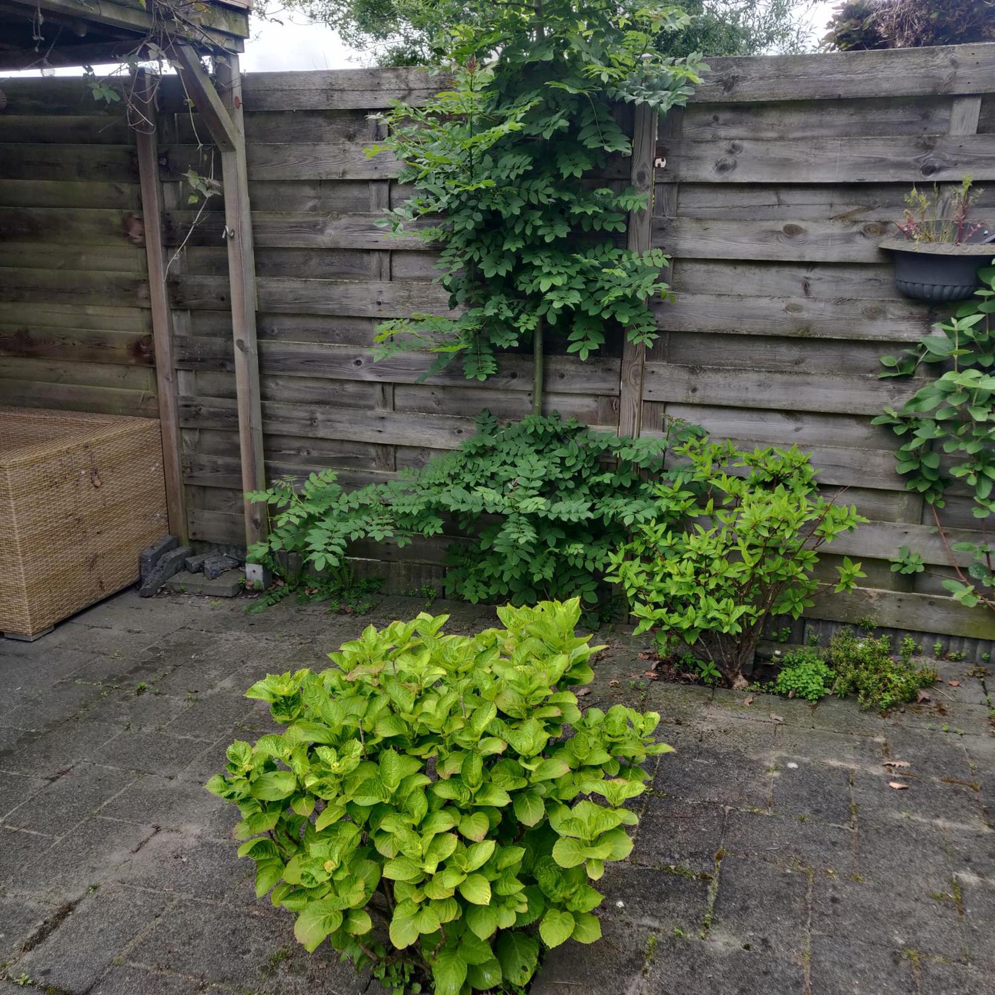 Solstice, Quiet Cottage In Bruinisse, Zeeland מראה חיצוני תמונה