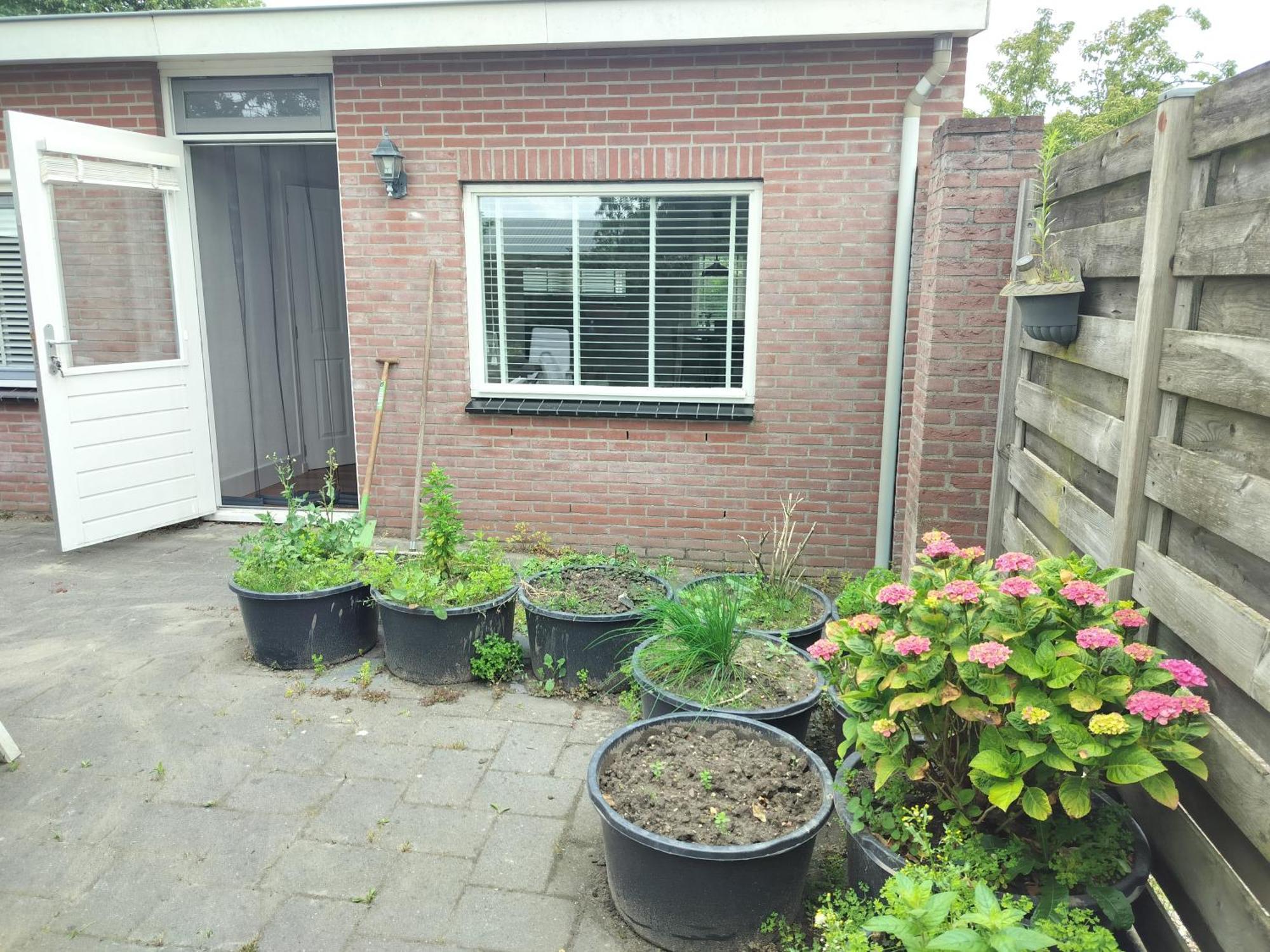 Solstice, Quiet Cottage In Bruinisse, Zeeland מראה חיצוני תמונה